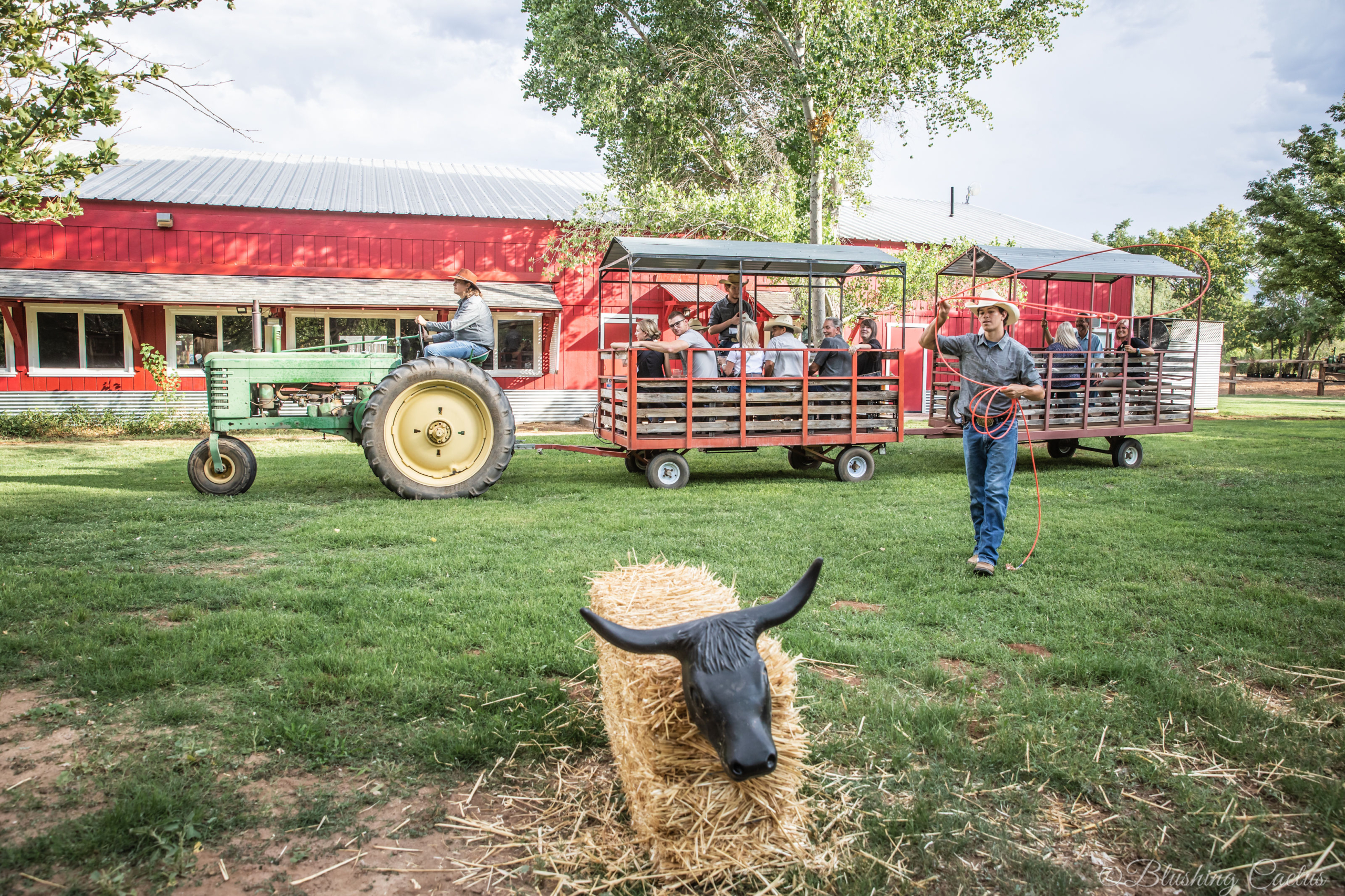 Rural scene: tractor pulling wagon with people, cow statue, red barn setting.