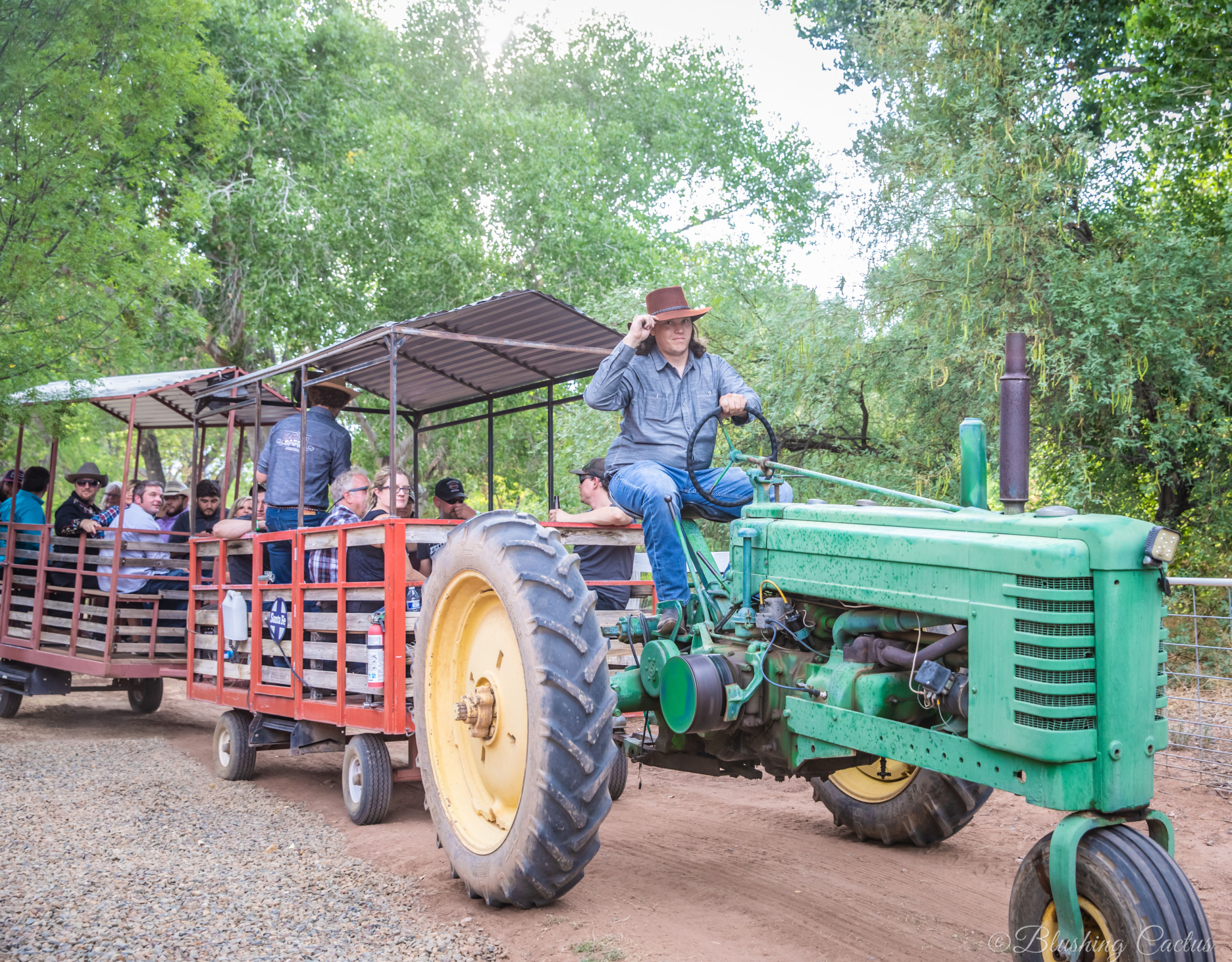 Vintage tractor pulling a wagon with passengers through a shaded park trail
