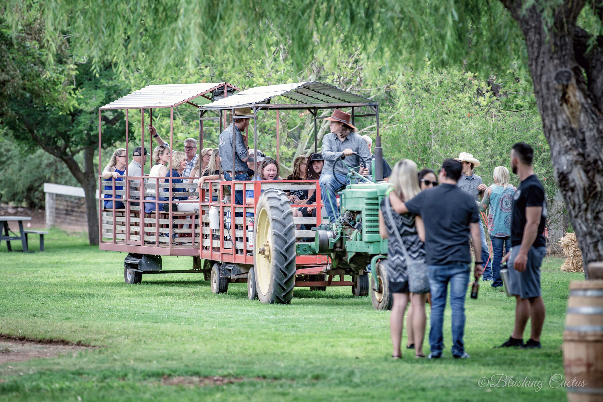 Group enjoying a tractor-pulled wagon ride through a green park.