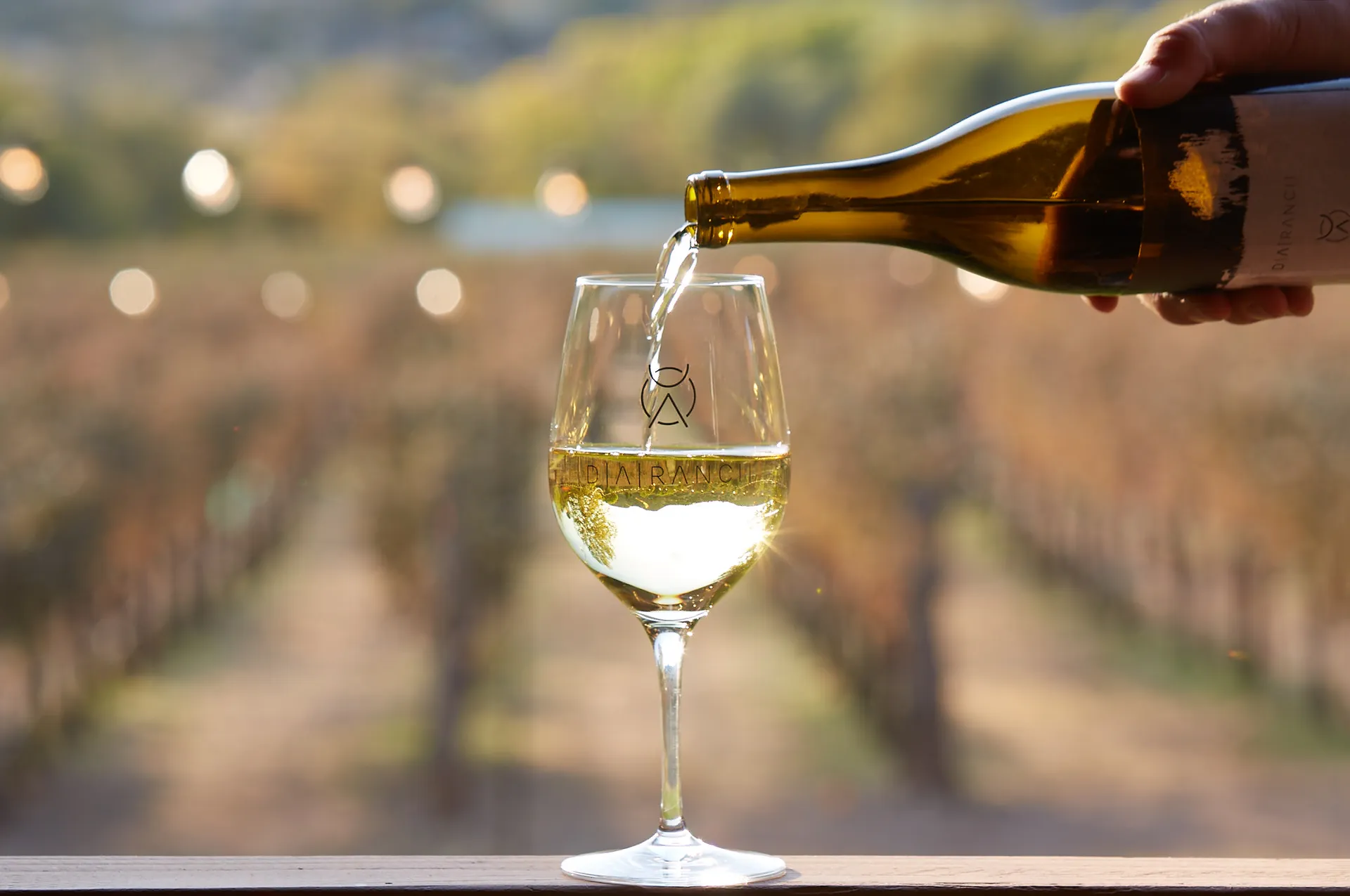 Pouring white wine from bottle into glass near vineyard at sunset