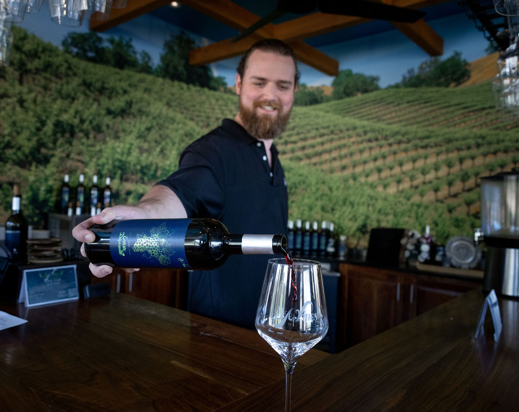Wine tasting: man pouring white wine into a glass at vineyard bar with scenic vineyard views