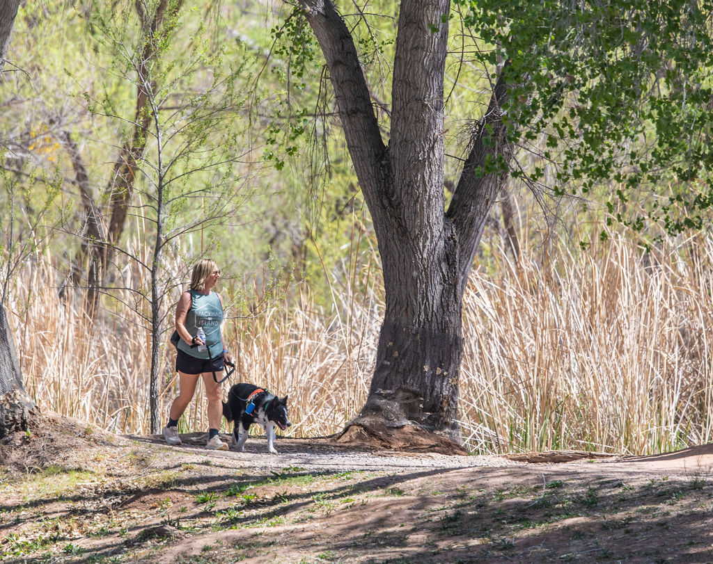 Woman jogging with dog on a sunny forest trail