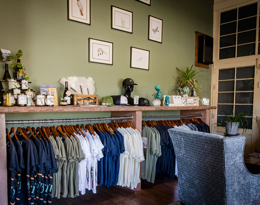 Clothing store display with neatly arranged shirts and decorative items on shelves.