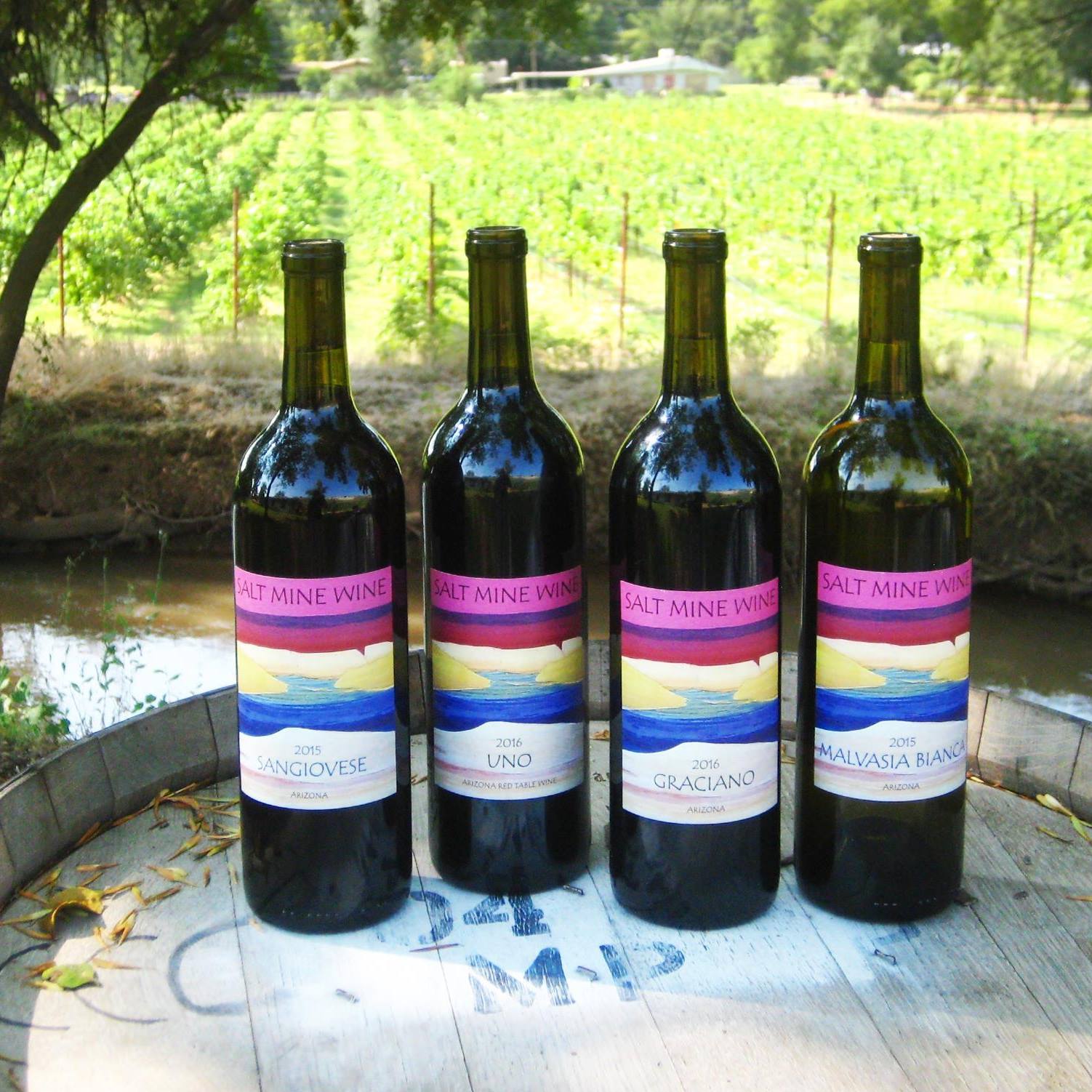 Four Salt Mine Wine bottles: Sangiovese 2015, Uno 2016, Graciano 2016, Malvasia Bianca 2015.