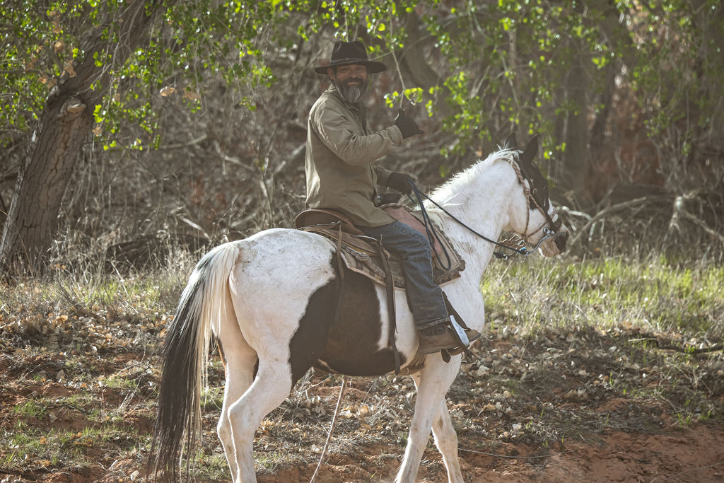 Man riding white horse through forested trail