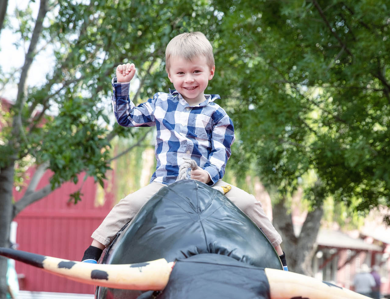 Young boy happily riding a playground slide outdoors.