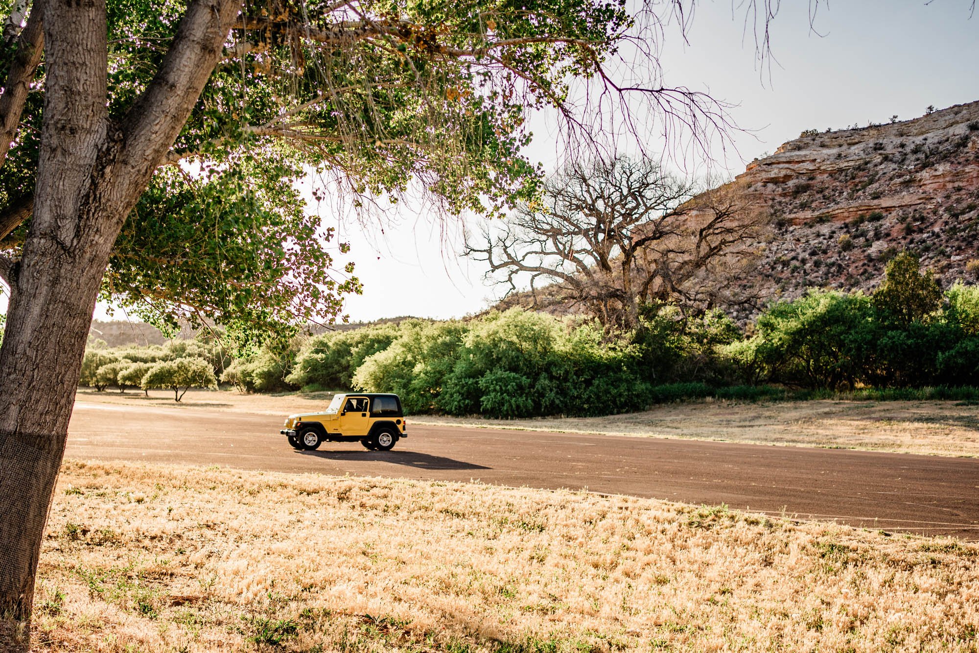 Yellow Jeep driving on dirt road near large trees and dry grassy field