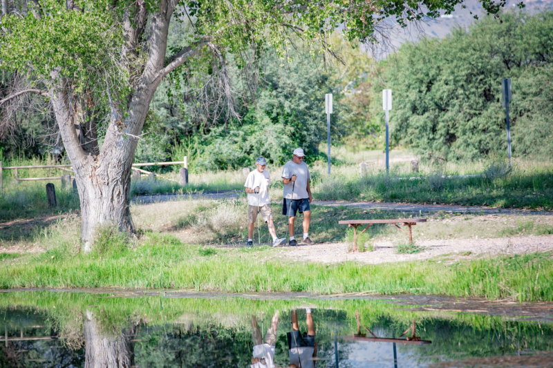 Two seniors walking and talking near a pond in a park.