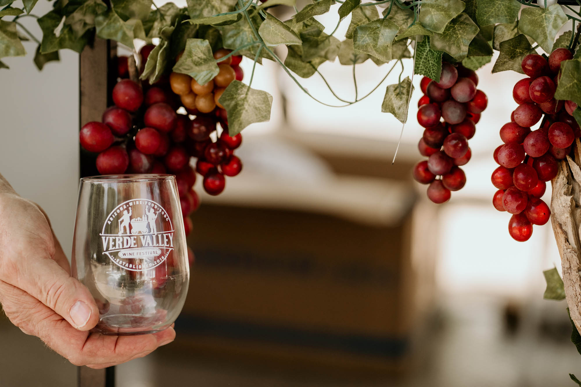 Person holding wine glass at Verde Valley Wine Festival with grapevine backdrop.