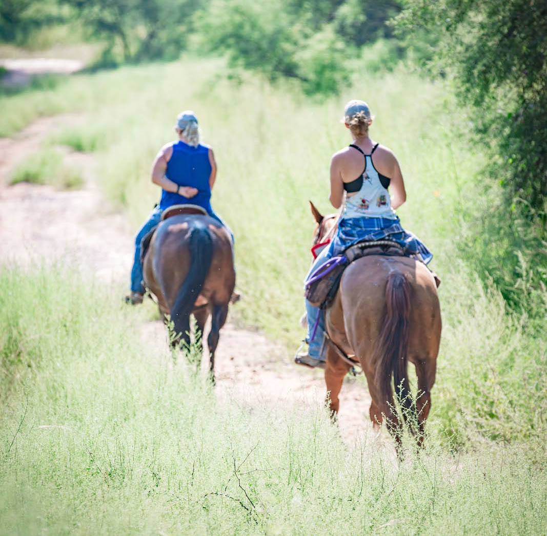 Two people riding horses along a grassy forest trail