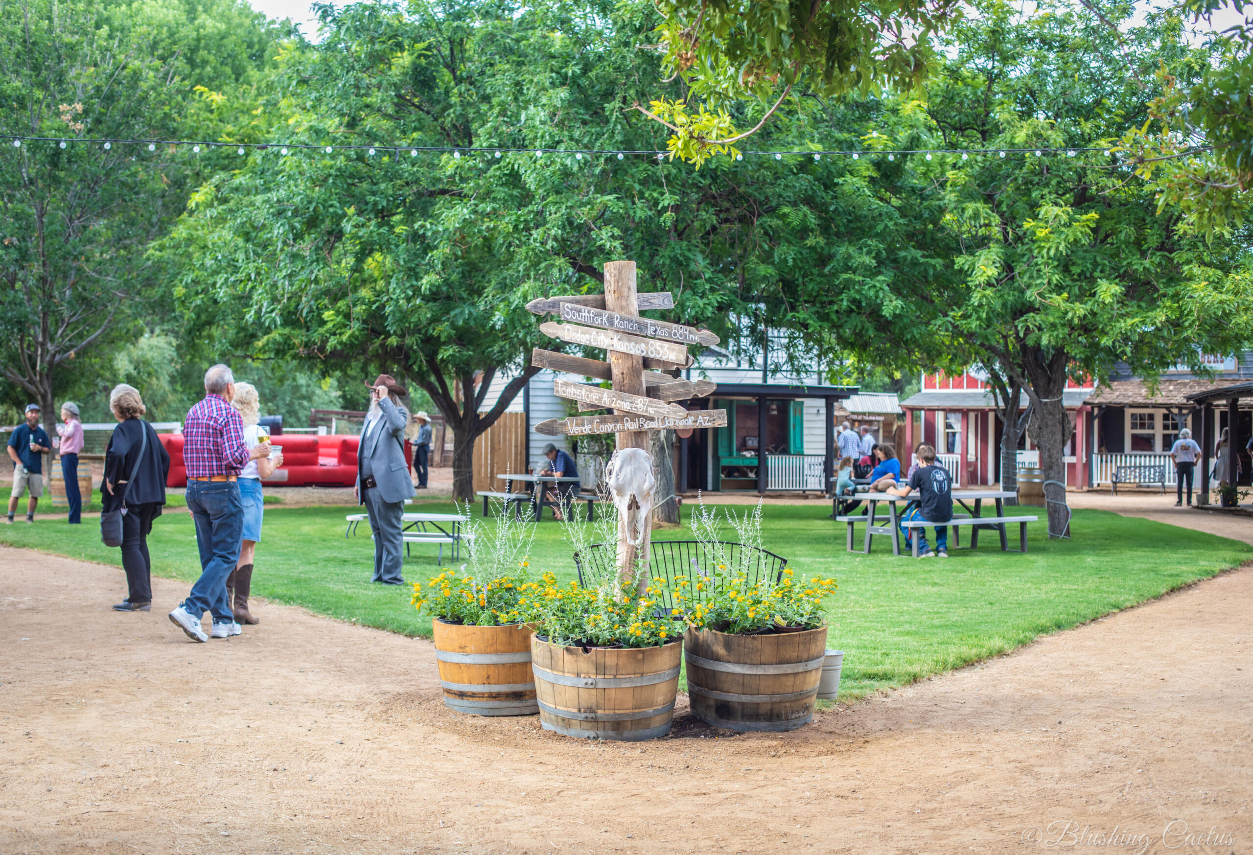 Historic Western town scene with visitors exploring wooden signpost and flower barrels.