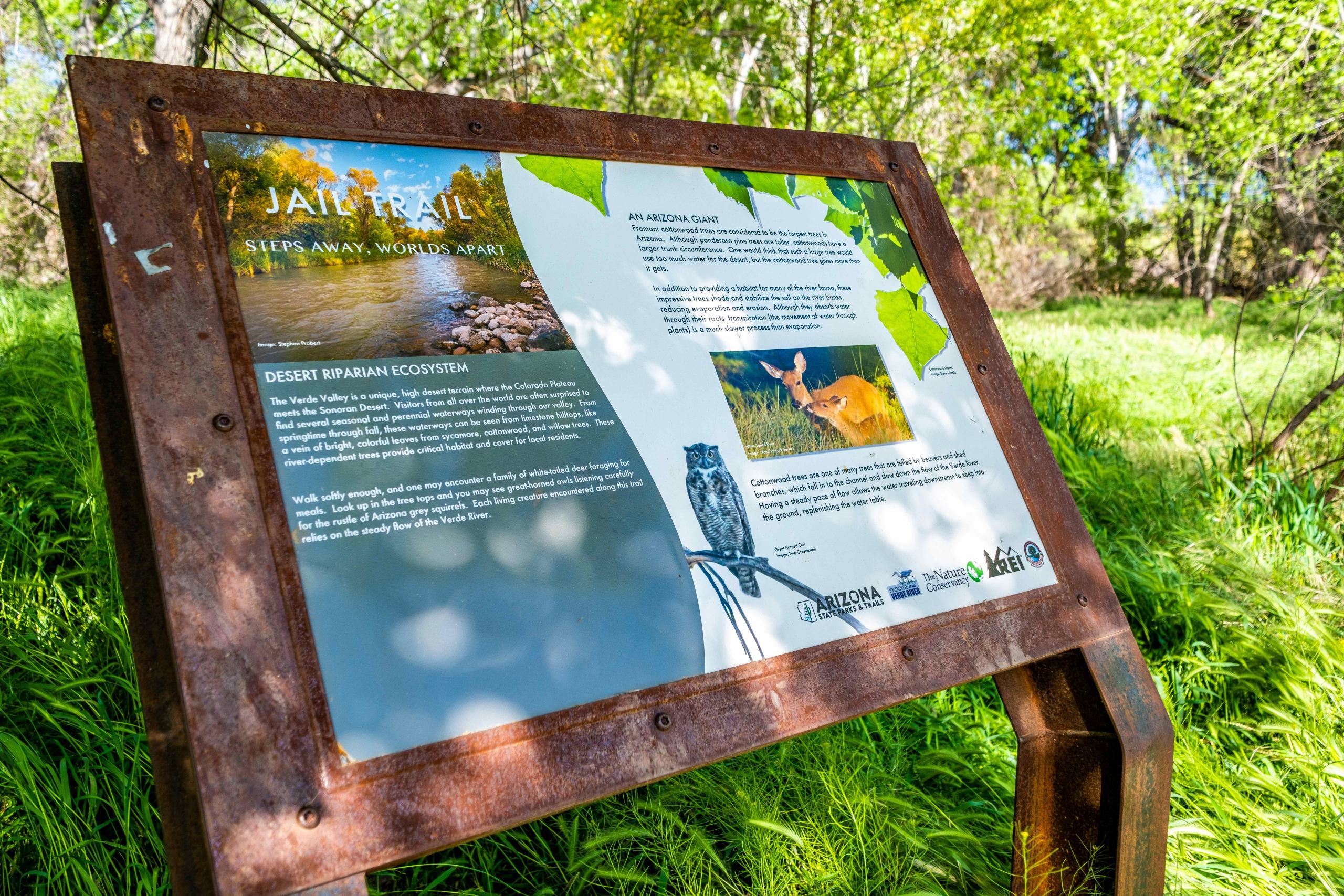 Close-up of a laptop with open browser tabs and code.