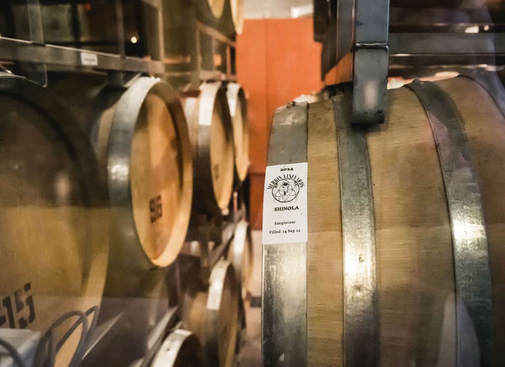 Wine Barrel Shinola Sangiovese Wine barrels in cellar, including a Shinola Sangiovese barrel filled Sep 14.